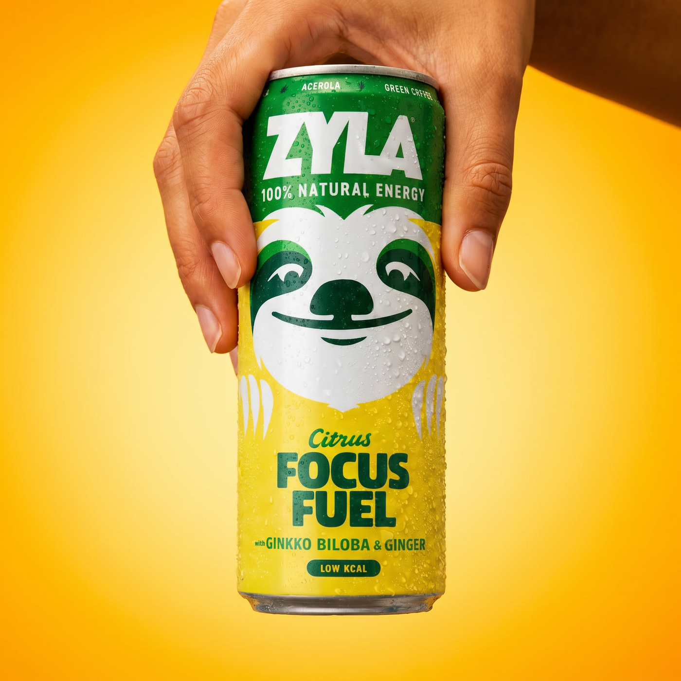 FOCUS FUEL